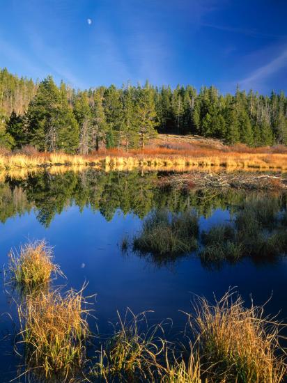 Premium Photographic Print, , large