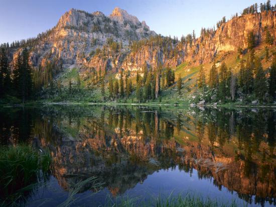 Photographic Print, , large