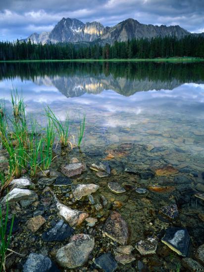 Photographic Print, , large