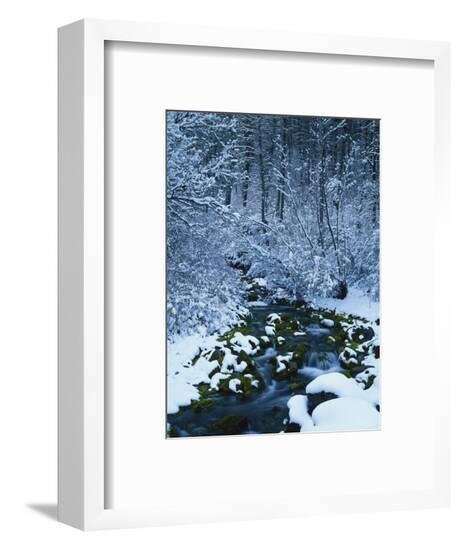 Framed Photographic Print, , large