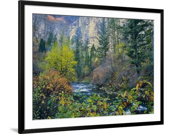 Framed Photographic Print, , large