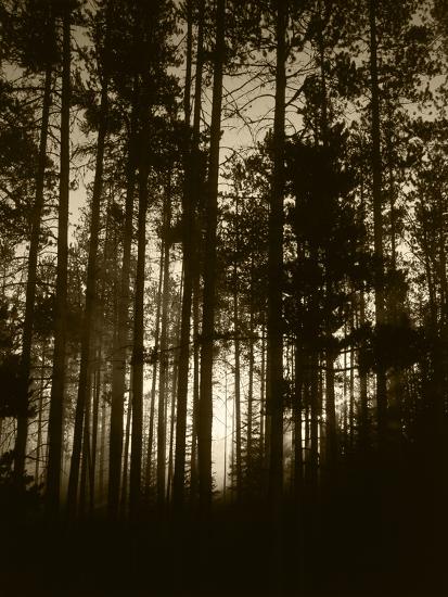 Photographic Print, , large