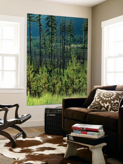 Giant Art Print, , large