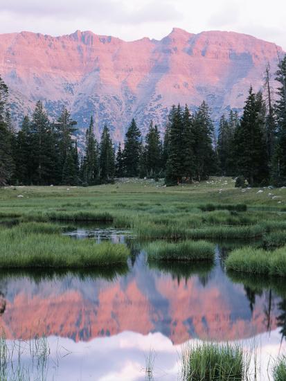 Premium Photographic Print, , large
