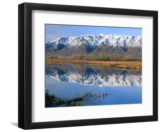 Premium Photographic Print, , large