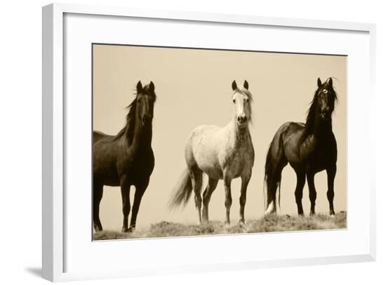 Framed Photographic Print, , large
