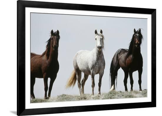 Framed Photographic Print, , large