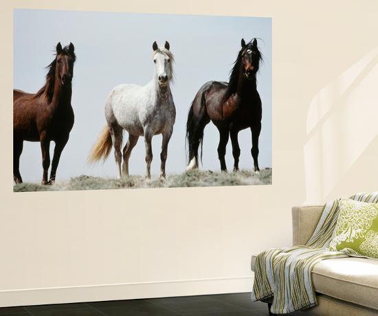 Giant Art Print, , large