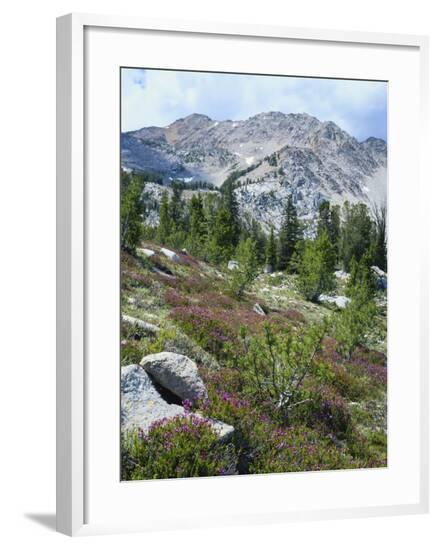 Framed Photographic Print, , large