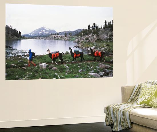 Giant Art Print, , large