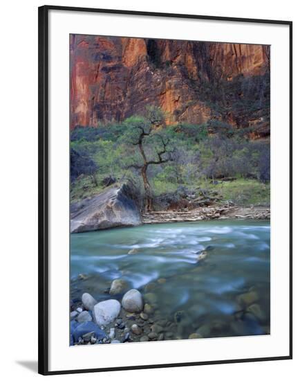 Framed Photographic Print, , large