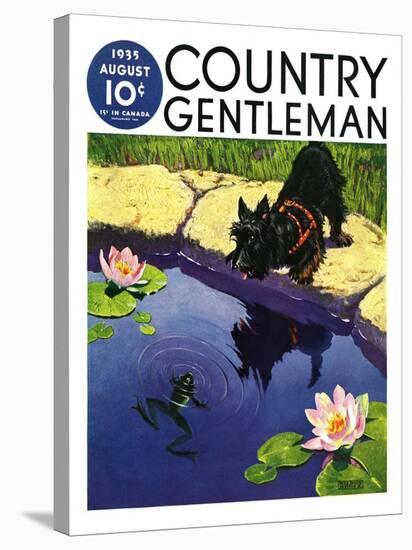 "Scottie and Frog," Country Gentleman Cover, August 1, 1935-Nelson Grofe-Stretched Canvas