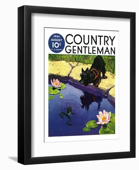 "Scottie and Frog," Country Gentleman Cover, August 1, 1935-Nelson Grofe-Framed Premium Giclee Print