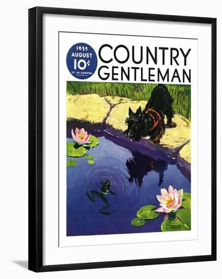 "Scottie and Frog," Country Gentleman Cover, August 1, 1935-Nelson Grofe-Framed Giclee Print