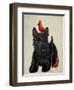 Scottie Dog and Red Birds-Fab Funky-Framed Art Print