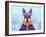 Scottie Dog L-Fernando Palma-Framed Giclee Print