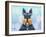 Scottie Dog LI-Fernando Palma-Framed Giclee Print