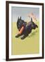 Scottie Dog with Bat-null-Framed Art Print