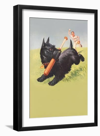 Scottie Dog with Bat-null-Framed Art Print