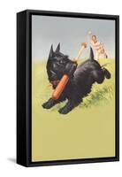 Scottie Dog with Bat-null-Framed Stretched Canvas