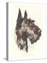 Scottie Dog-null-Stretched Canvas