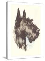 Scottie Dog-null-Stretched Canvas