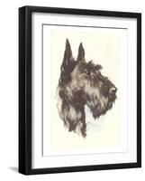 Scottie Dog-null-Framed Art Print