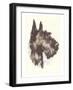 Scottie Dog-null-Framed Art Print