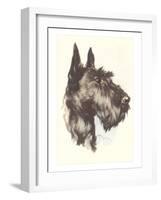 Scottie Dog-null-Framed Art Print