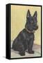 Scottie Dog-null-Framed Stretched Canvas