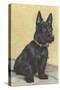 Scottie Dog-null-Stretched Canvas