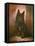 Scottie Puppy-Lilian Cheviot-Framed Stretched Canvas