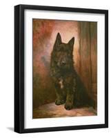 Scottie Puppy-Lilian Cheviot-Framed Giclee Print