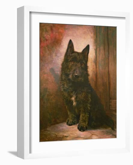 Scottie Puppy-Lilian Cheviot-Framed Giclee Print