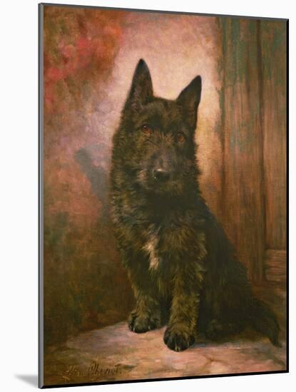 Scottie Puppy-Lilian Cheviot-Mounted Giclee Print