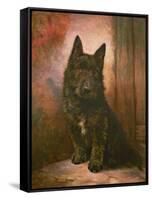 Scottie Puppy-Lilian Cheviot-Framed Stretched Canvas