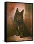 Scottie Puppy-Lilian Cheviot-Framed Stretched Canvas