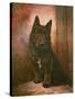 Scottie Puppy-Lilian Cheviot-Stretched Canvas