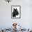 Scottish Aberdeen Terrier-null-Framed Photographic Print displayed on a wall