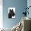 Scottish Aberdeen Terrier-null-Mounted Photographic Print displayed on a wall