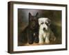 Scottish and a Sealyham Terrier-Lilian Cheviot-Framed Giclee Print