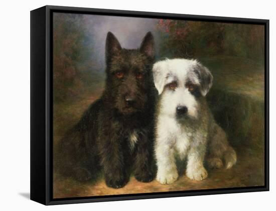 Scottish and a Sealyham Terrier-Lilian Cheviot-Framed Stretched Canvas