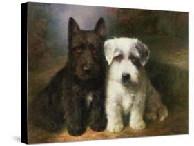 Scottish and a Sealyham Terrier-Lilian Cheviot-Stretched Canvas