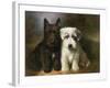 Scottish and a Sealyham Terrier-Lilian Cheviot-Framed Giclee Print
