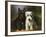 Scottish and a Sealyham Terrier-Lilian Cheviot-Framed Giclee Print