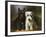 Scottish and a Sealyham Terrier-Lilian Cheviot-Framed Giclee Print