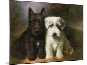 Scottish and a Sealyham Terrier-Lilian Cheviot-Mounted Giclee Print