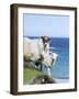 Scottish Blackface on the Isle of Harris, Scotland-Martin Zwick-Framed Photographic Print