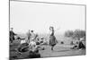 Scottish Dancing-null-Mounted Photographic Print