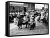 Scottish Fisherwomen at Yarmouth Gathering and Cleaning Herring-null-Framed Stretched Canvas